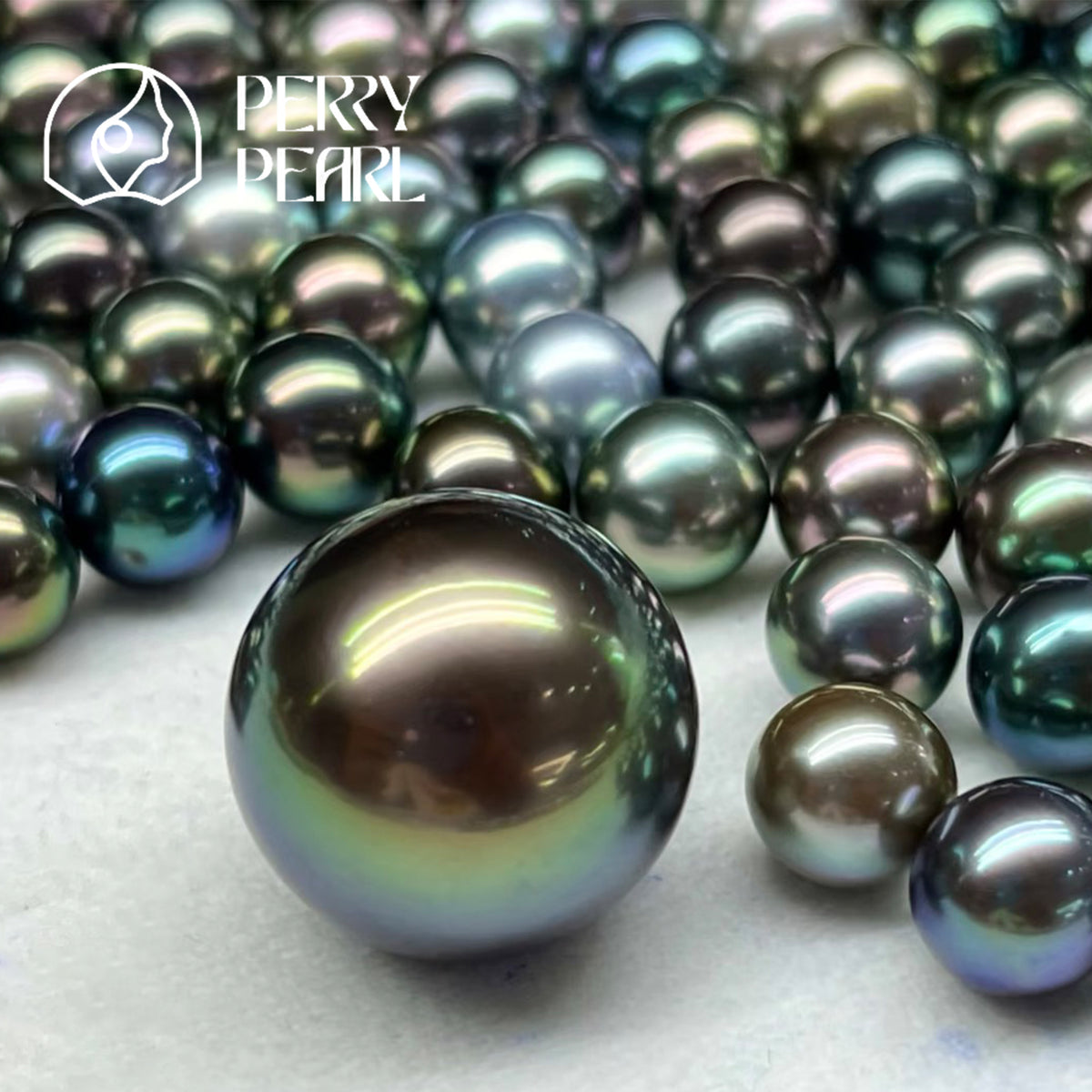【Peony Brooch】+【Black Tahitian Pearl】Deep Sea Black Pearl 8-12mm