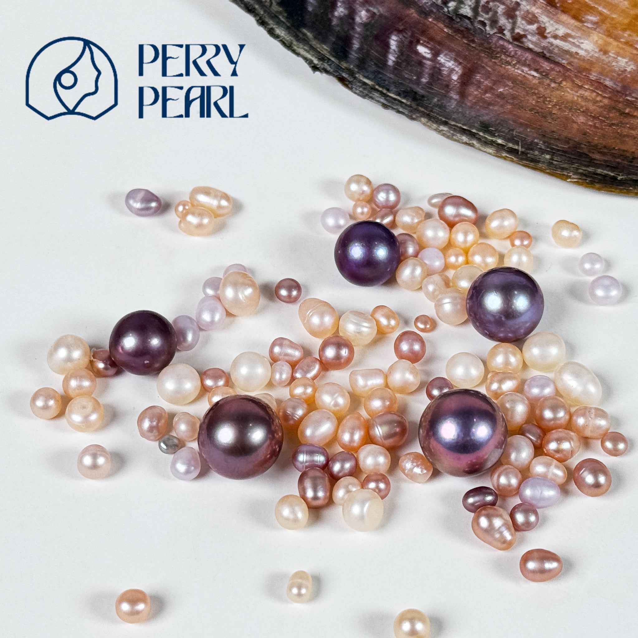 【Starter Set】Pony Brooch+Pearl Party+Blue Berry