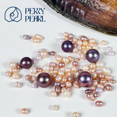 【Starter Set】Pony Brooch+Pearl Party+Blue Berry
