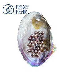 【Peony Brooch】+【Nox Pearl】 – Guranteed 12mm+ large size deep color Edison