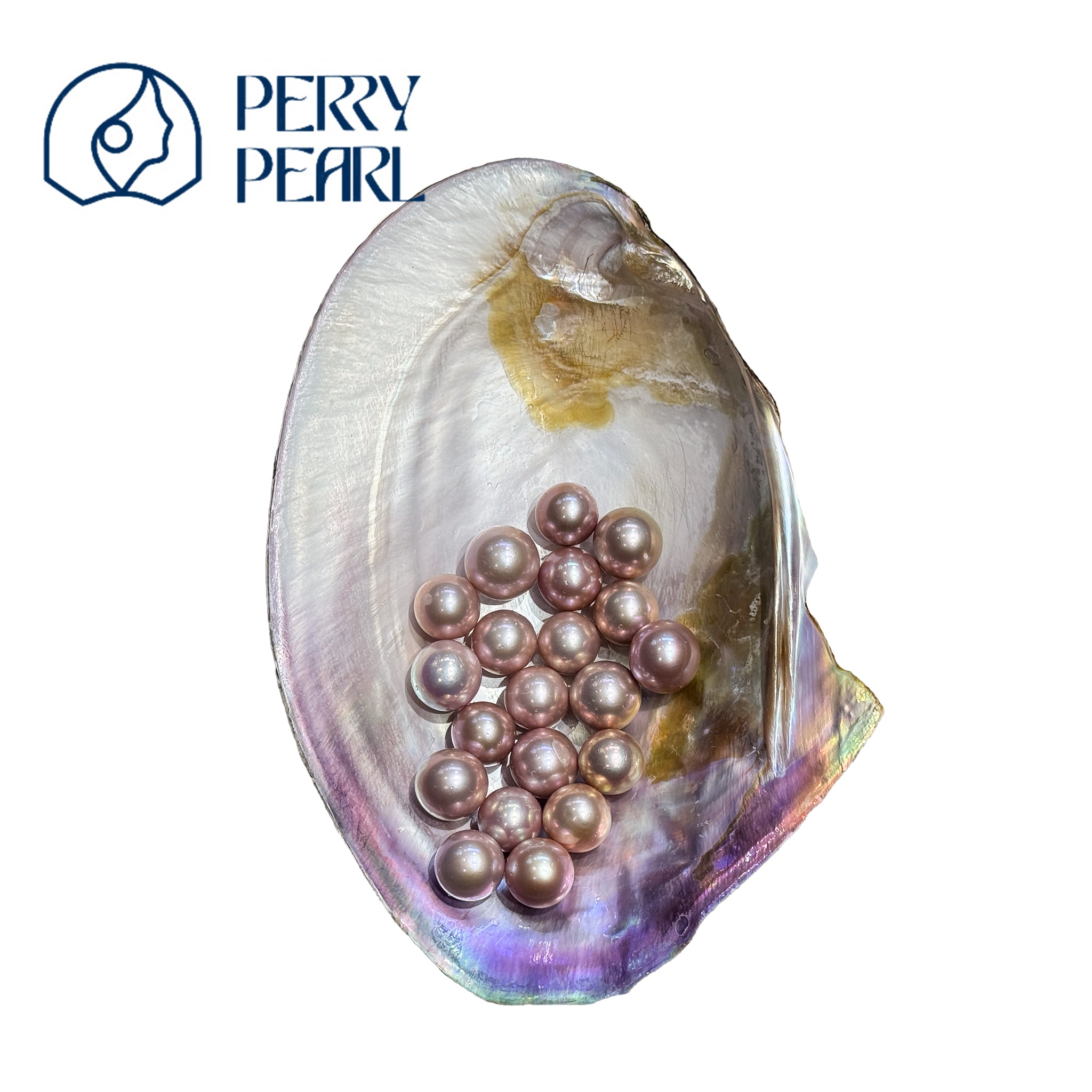 【Peony Brooch】+【Dragon Ball】 – Guranteed 14mm+ Oversized deep color Edison