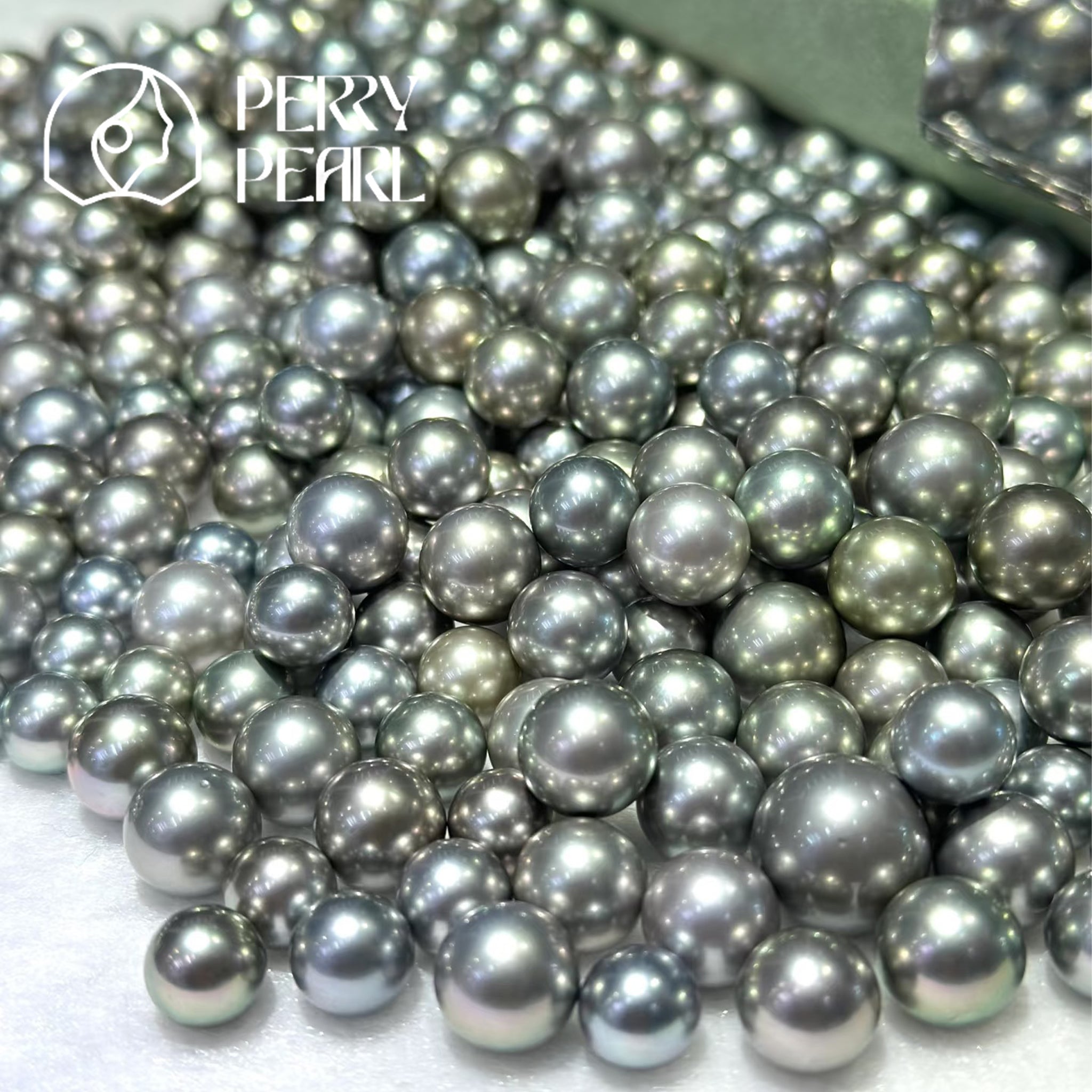 【Peony Brooch】+【Black Tahitian Pearl】Deep Sea Black Pearl 8-12mm